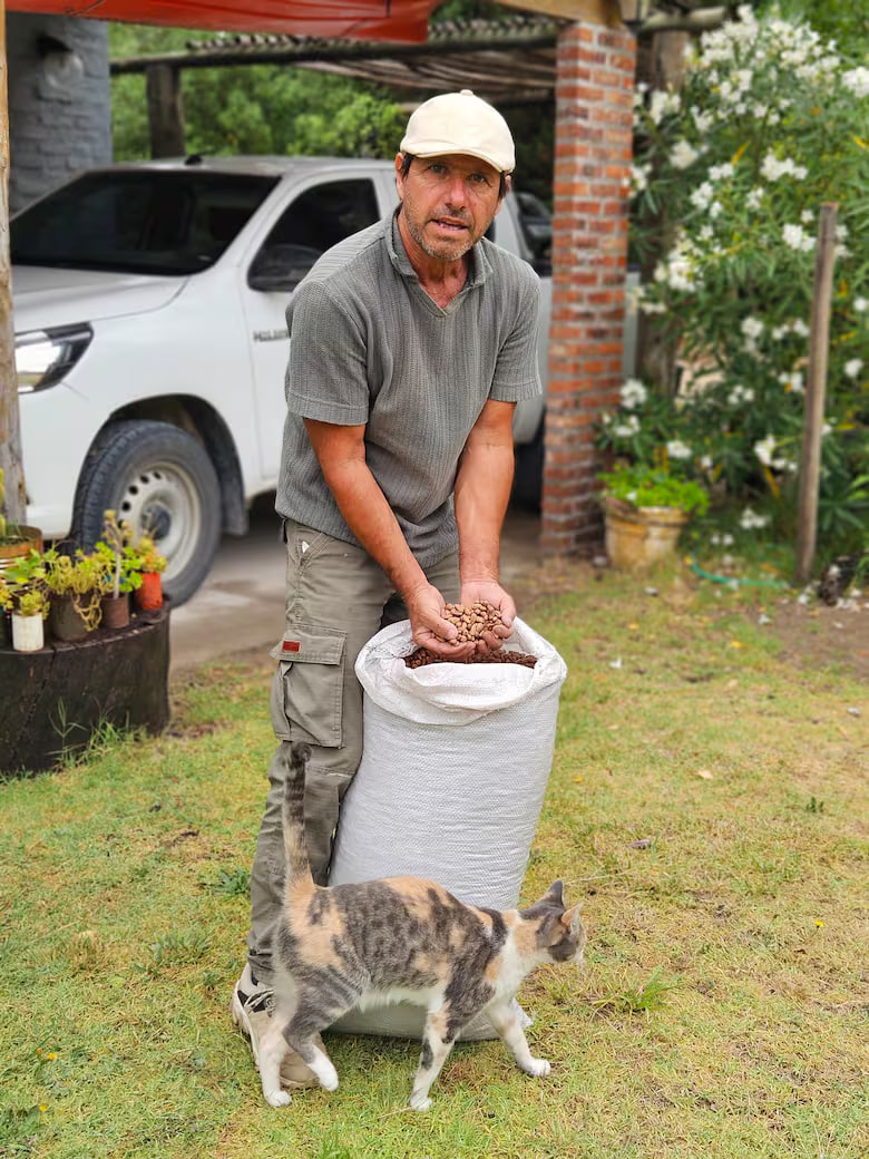 El piñón, el cultivo inesperado de la Costa Atlántica que se exporta a 100 euros el&nbsp;kilo